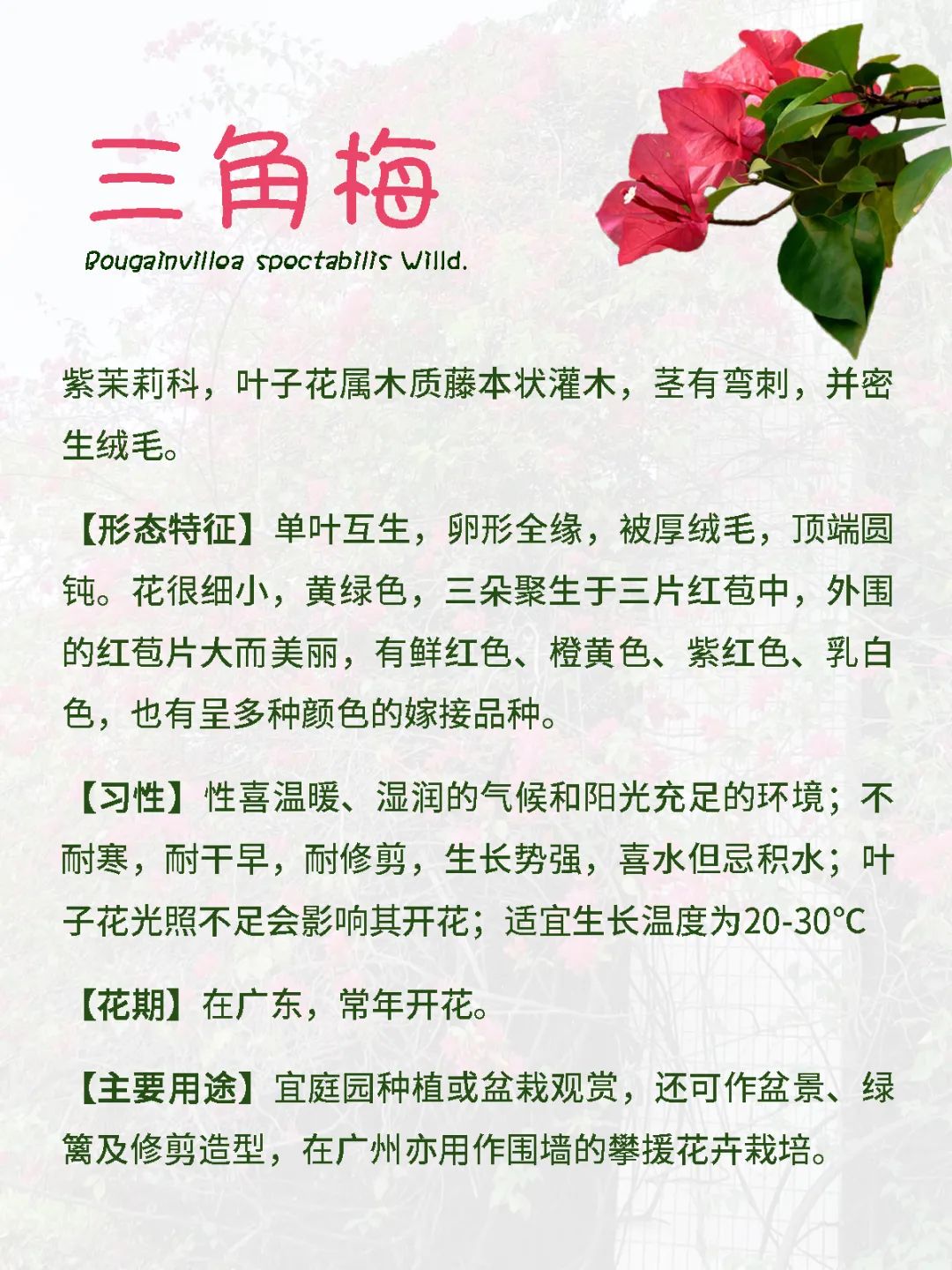 花城广州,四季繁花似锦的生态城市设计丨中国广州丨茏腾园林-34