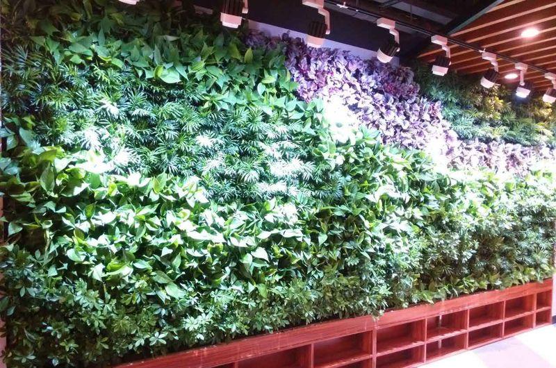 咸阳 MSE私享影院-植物墙-0