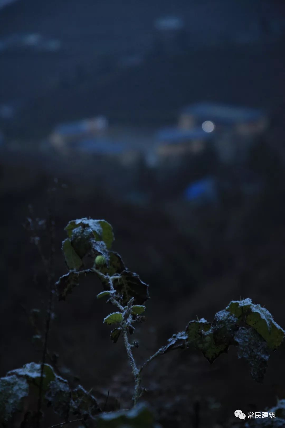 大凉山彝族新村落的"文曲"幼儿园-68