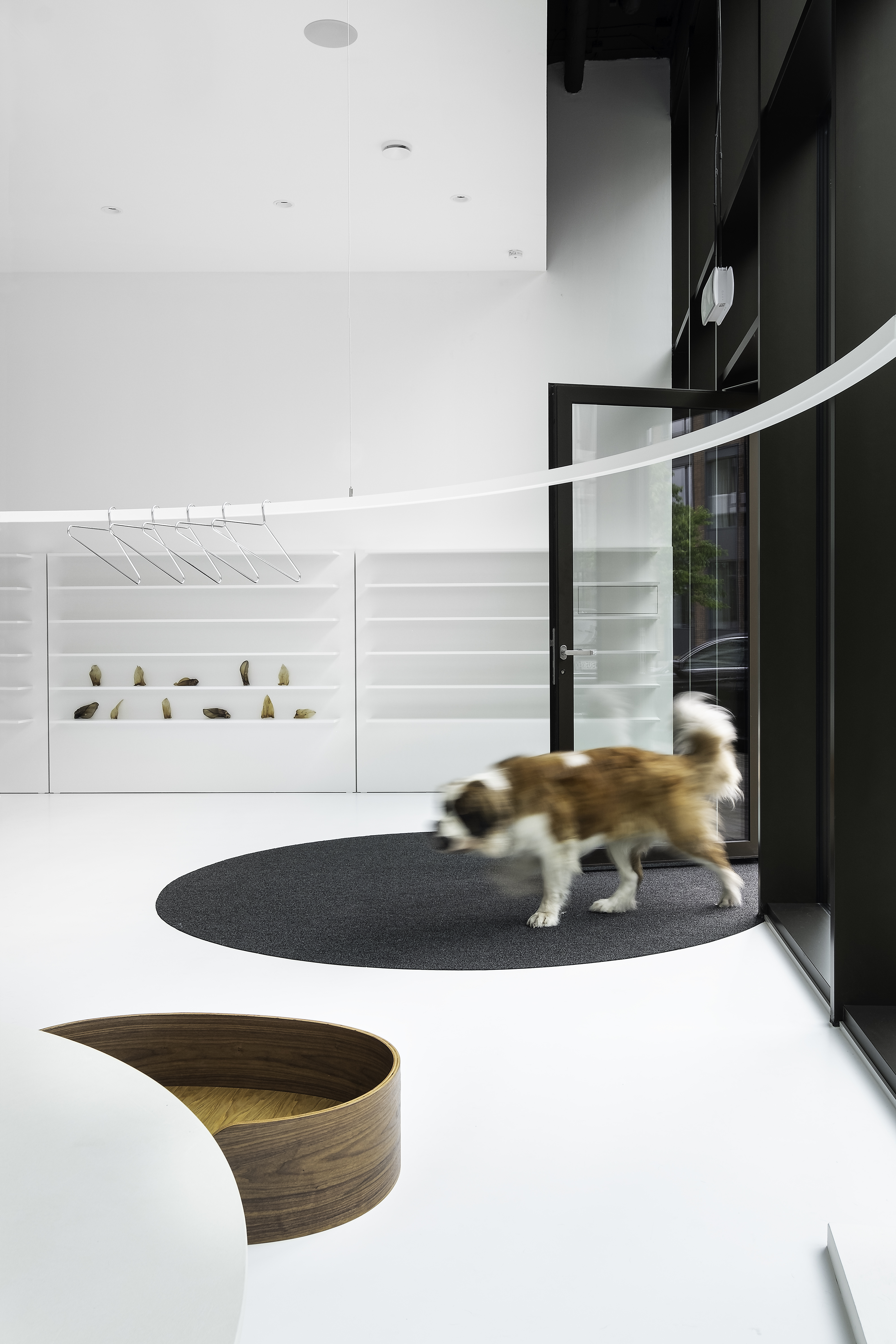 狗广场画廊丨斯洛伐克布拉迪斯拉发丨atelier 27.9-15