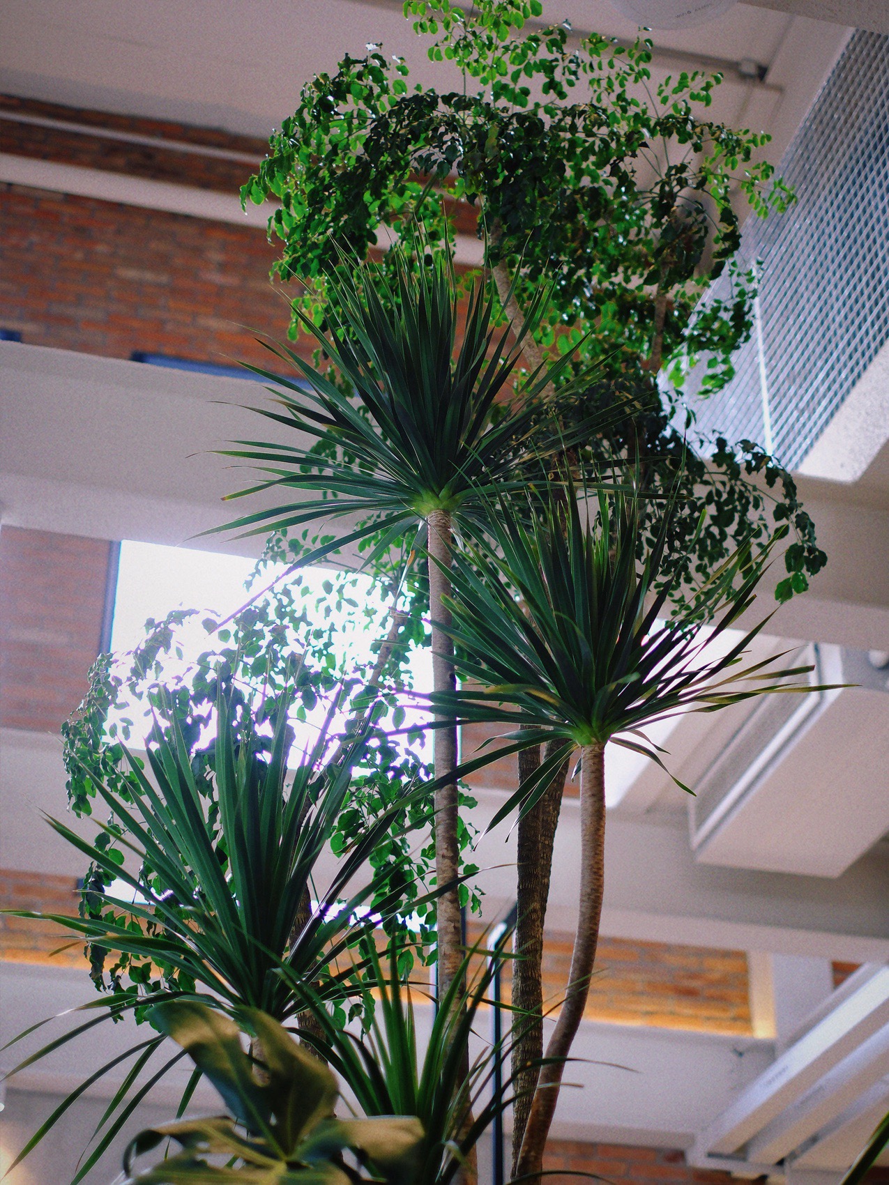 单向空间丨中国北京丨CG DESIGN-36