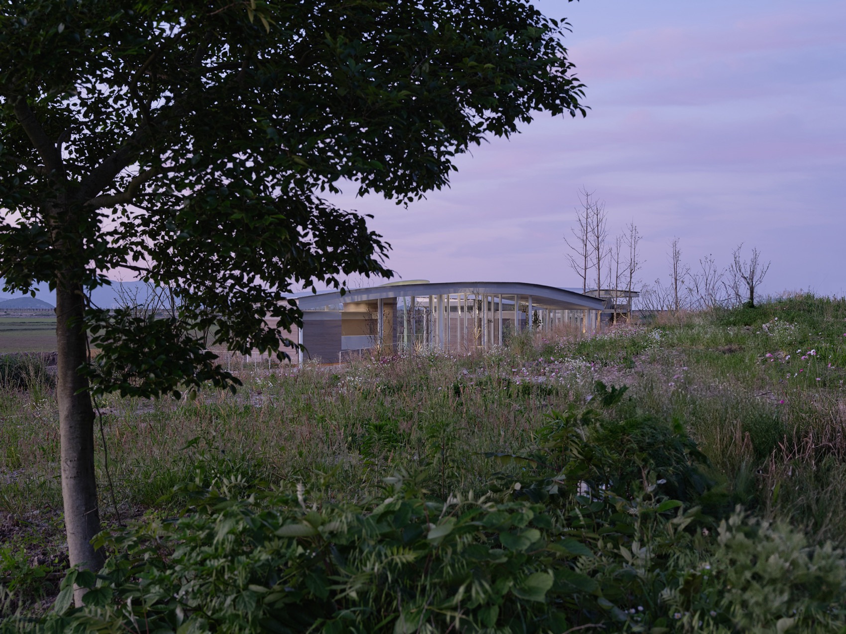 东旦大草原“海之墟”驿站丨中国浙江丨Mur Mur Lab-90