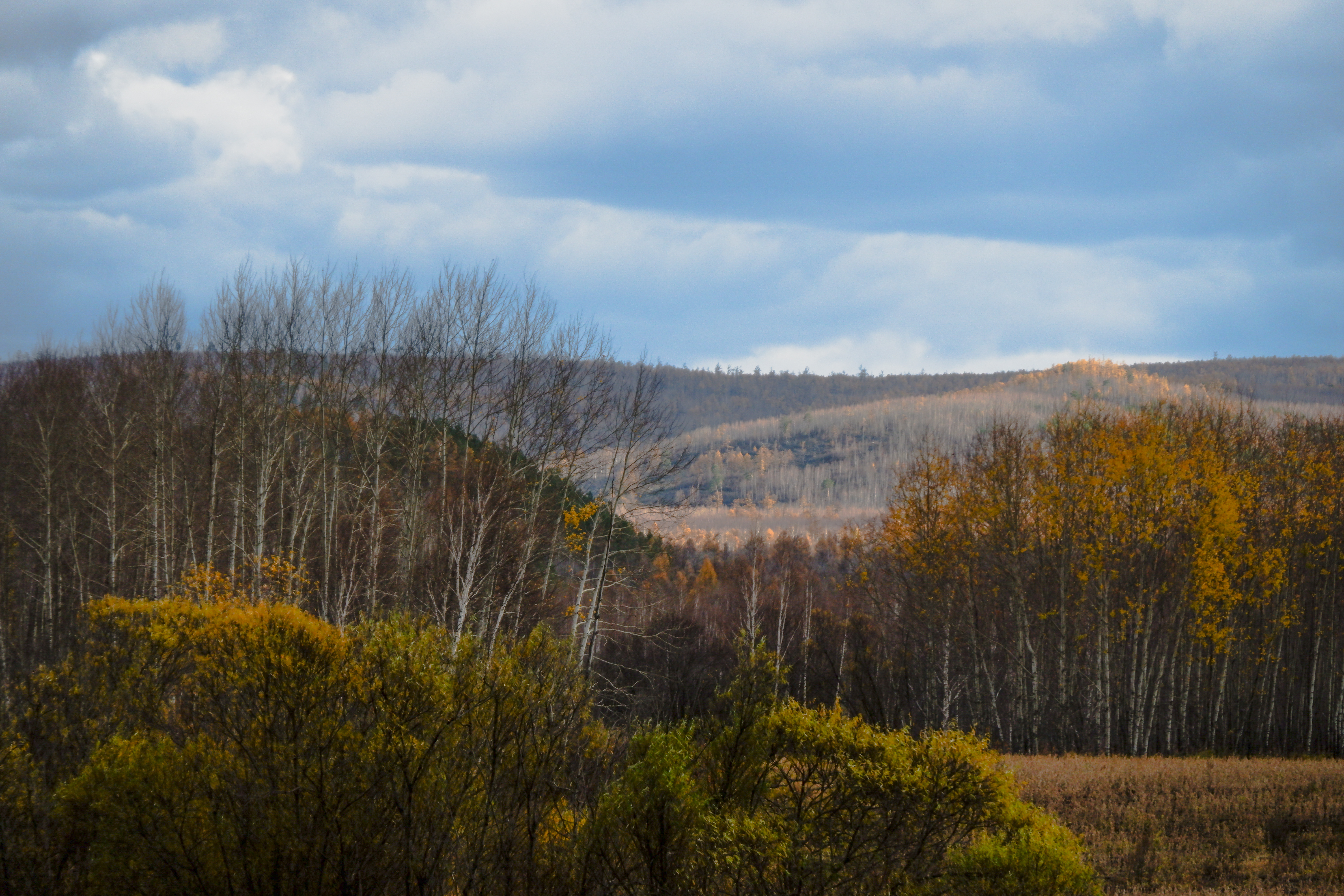 HEILONGJIANG,CHINA-6