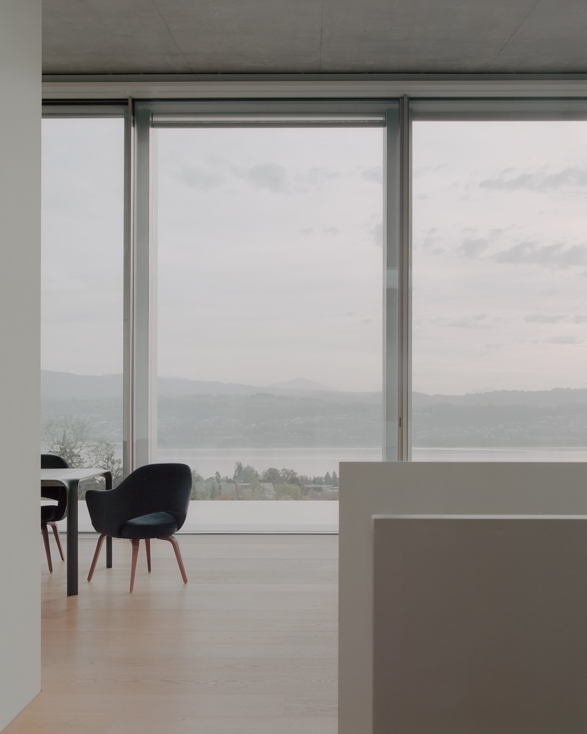 Uetikon 住宅丨瑞士丨PPAA-9