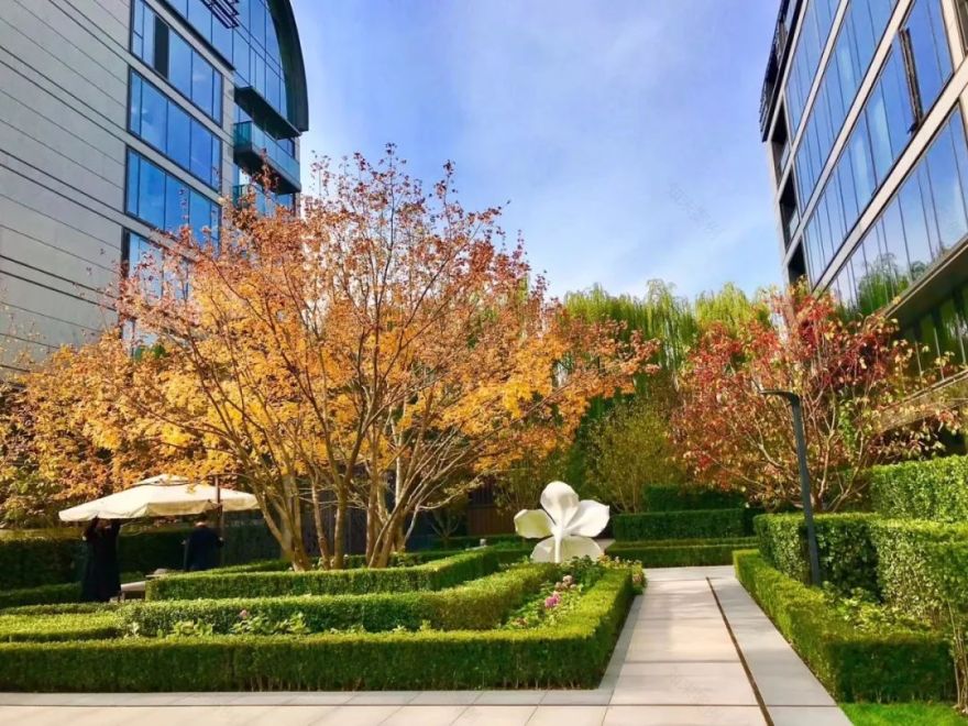 用植物营造空间氛围丨艺汉卿-23