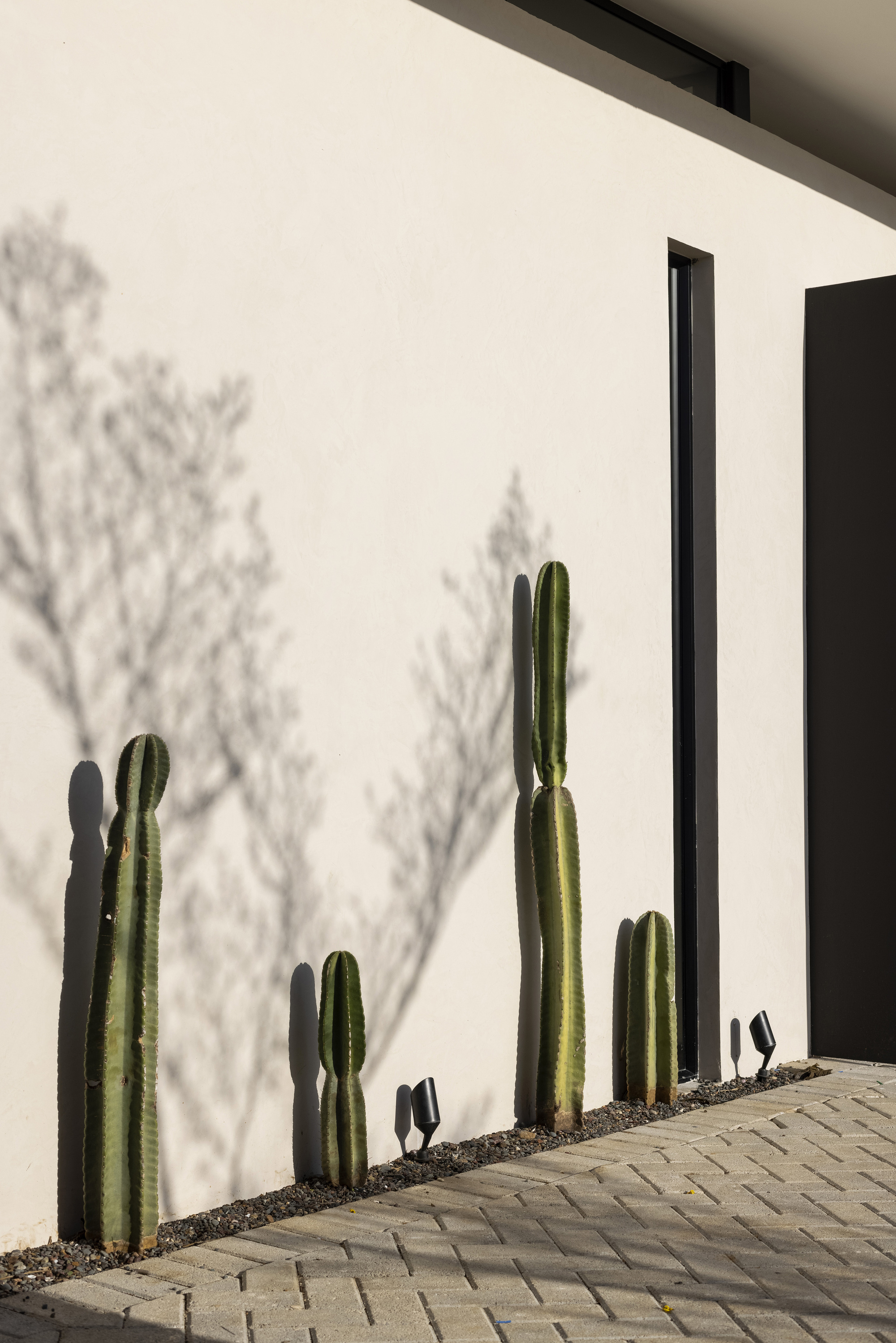 ADI 28 号房屋丨哥斯达黎加圣何塞丨KMA. Katia Marten Arquitectos-37