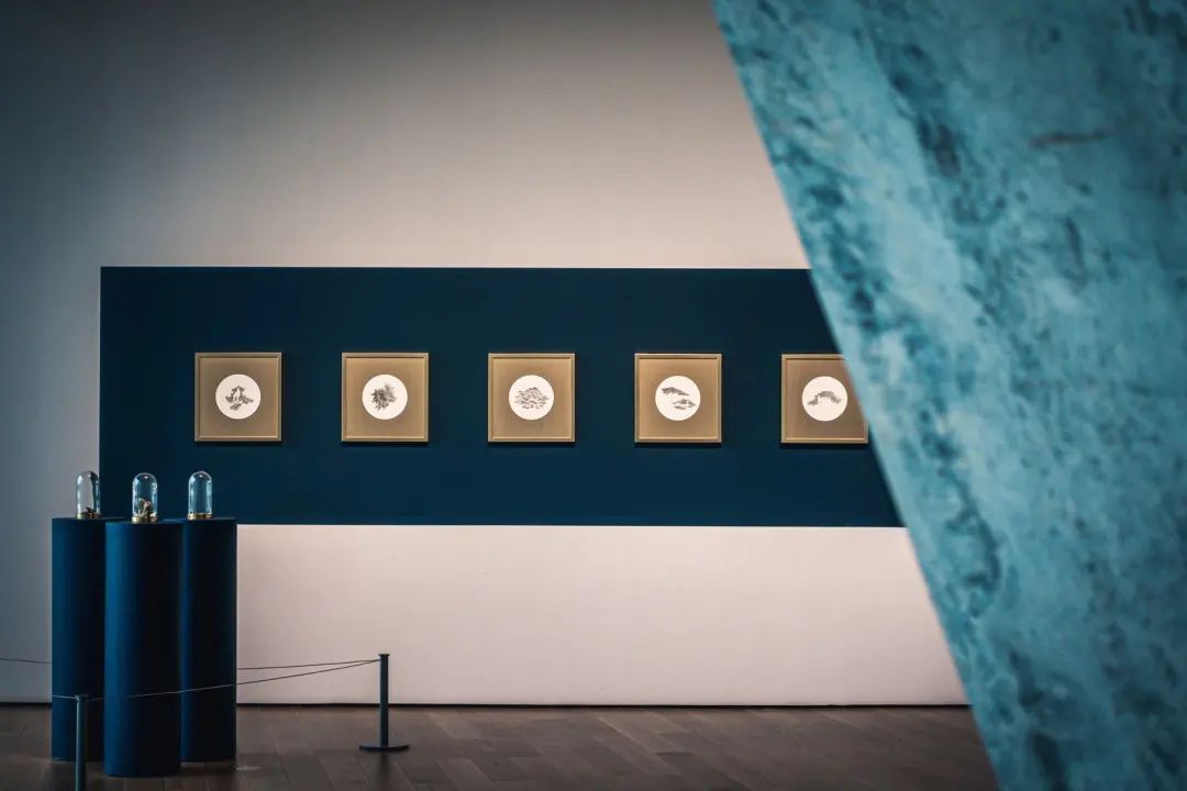 安藤忠雄操刀设计,广东顺德和美术馆亮相-15