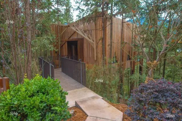 树屋，寻找童话中住在树上的精灵-11