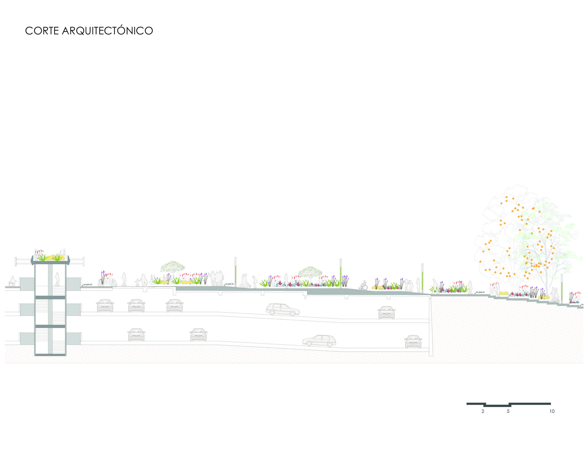 哥伦比亚广场 · Usaquén Urban Wetland 的生态景观设计-24