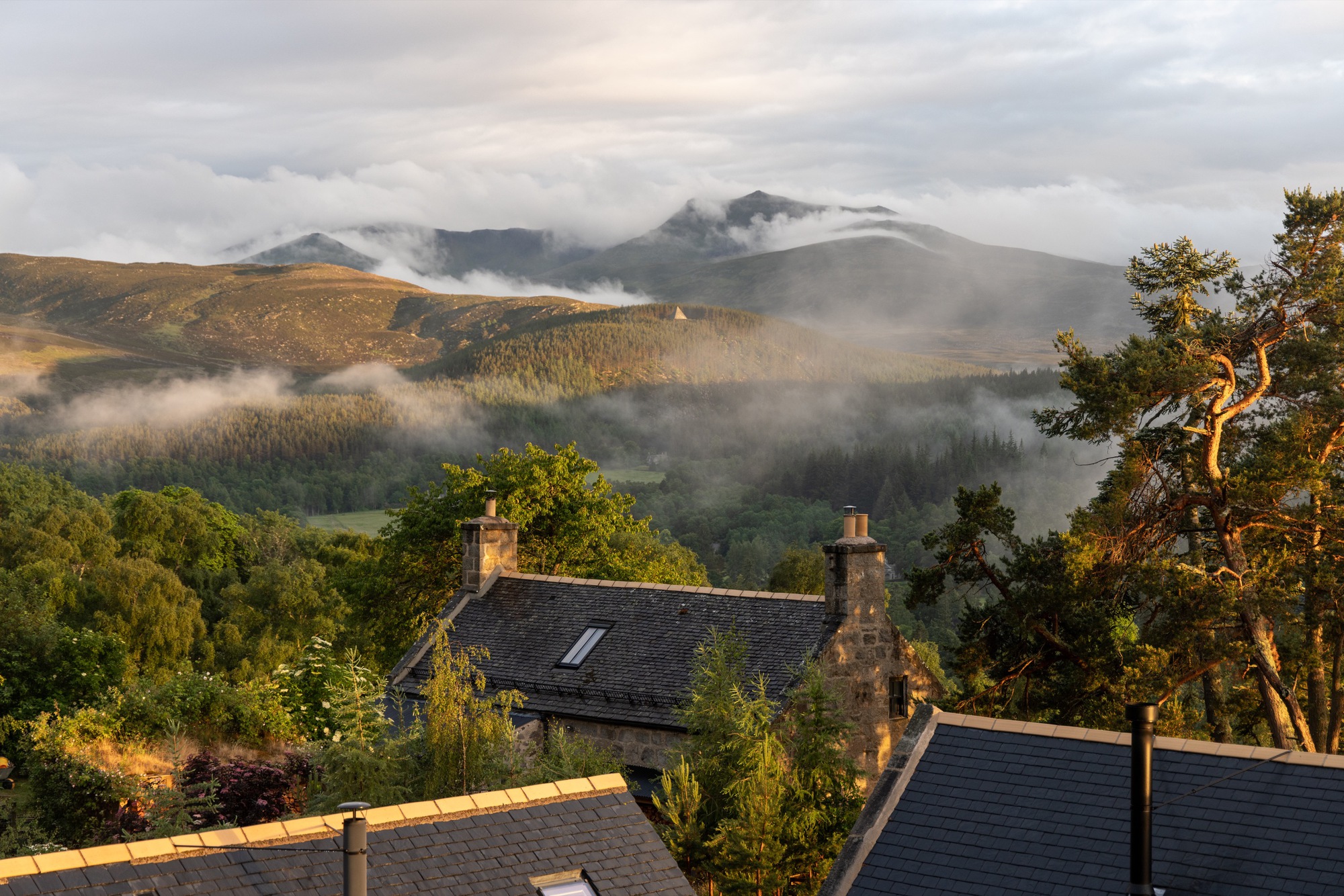 阿多赫宅邸丨英国阿伯丁丨Moxon Architects-7