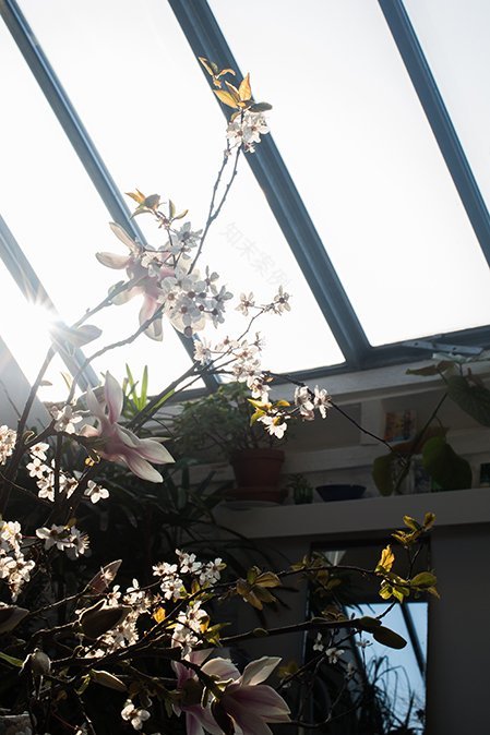 由阁楼改造成的玻璃屋式阁楼-17