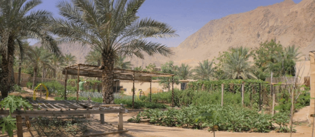 阿曼六善酒店-50