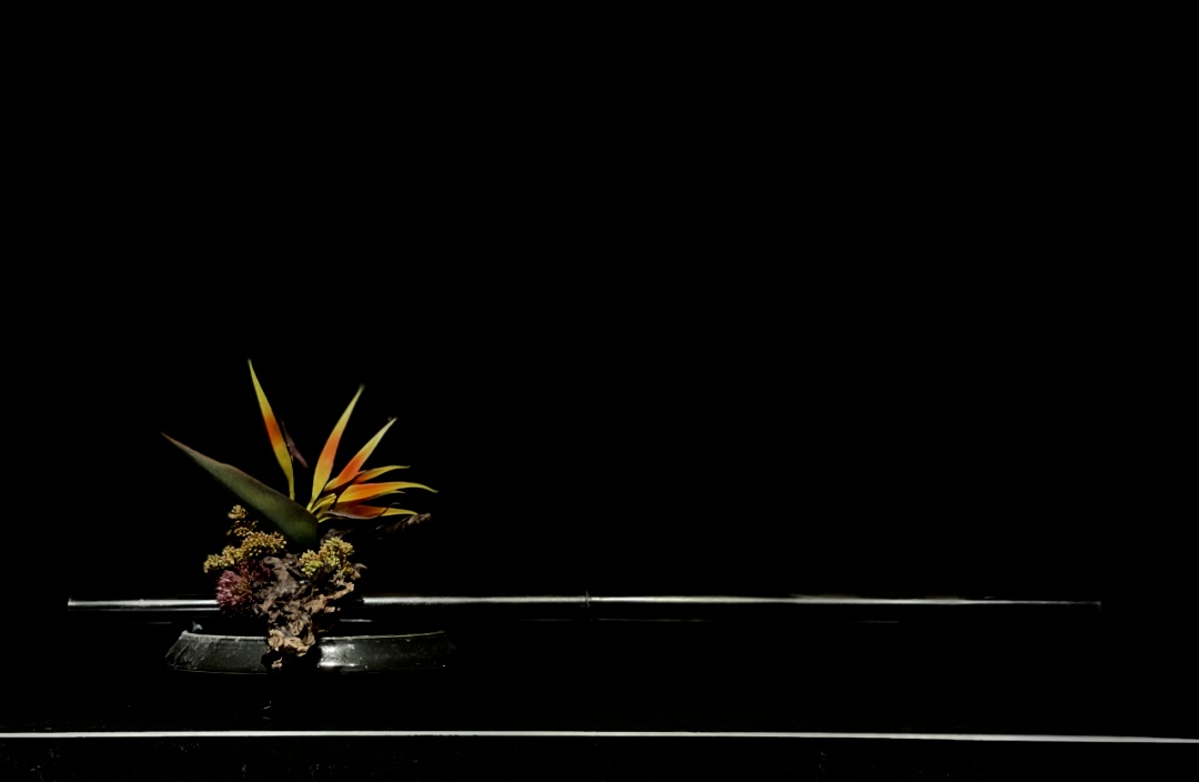 昆明铂尼思丨中国昆明丨日升空间设计-1