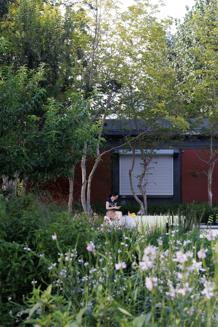 北京市三里屯西五街5号院花园丨中国北京丨OneScape一域景观事务所-7