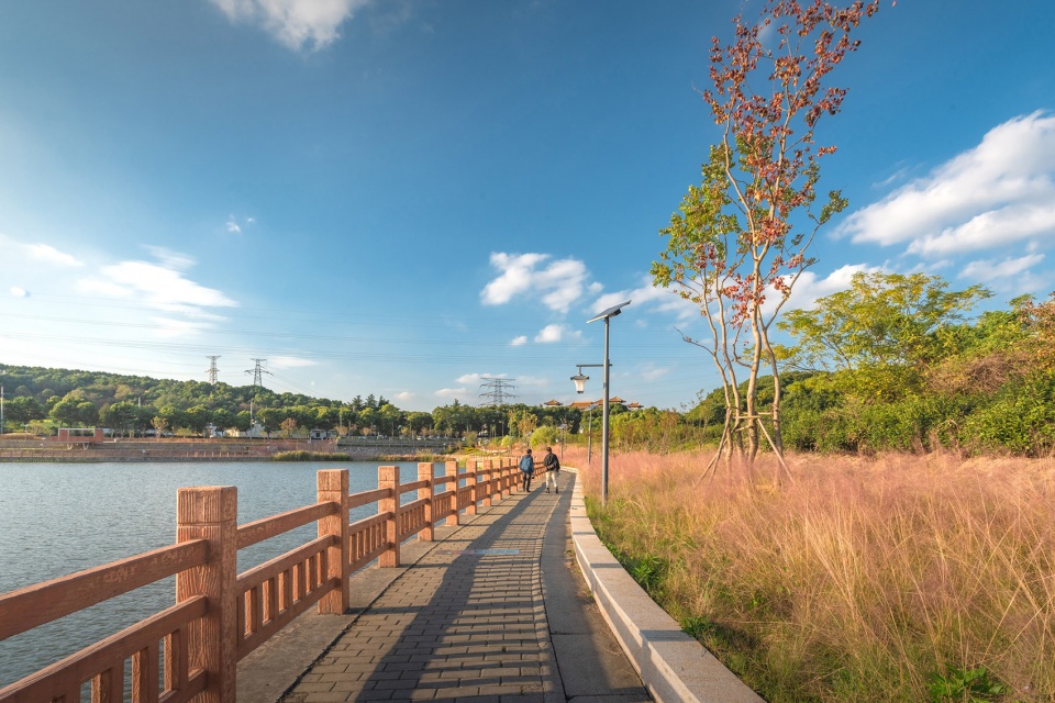 斗山塘景观设计丨苏州园科生态建设集团有限公司-28