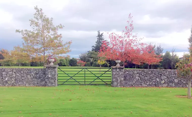 La Marque花园丨一位景观设计师（未提及具体姓名）-7