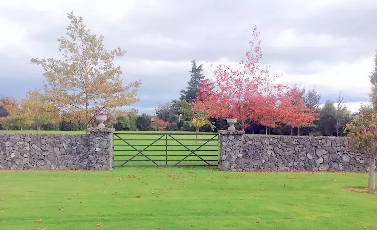 La Marque花园丨一位景观设计师(未提及具体姓名)-7