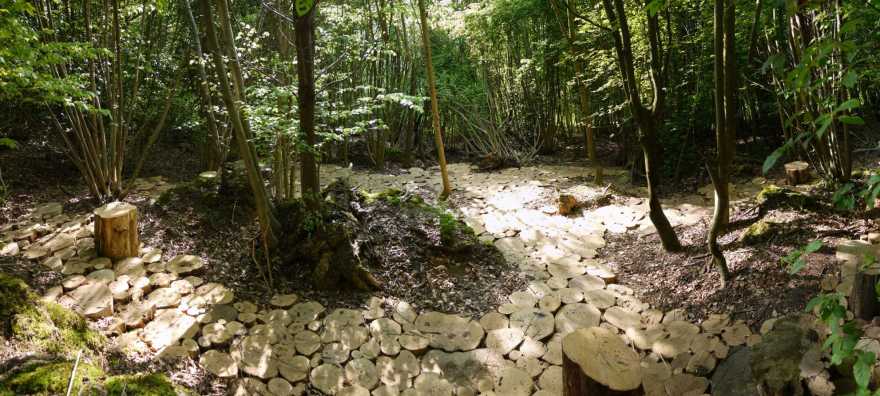 乌斯特市 Wildwood 自然林地广场 | 景观与功能的完美融合-2