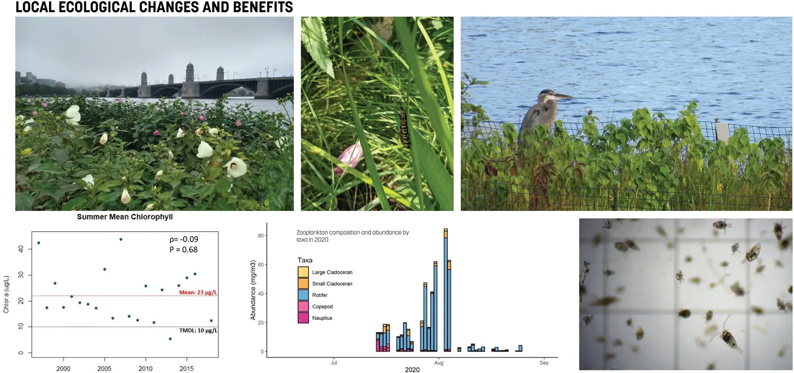 查尔斯河浮动湿地试点项目丨美国波士顿丨Sasaki Associates,Inc.等-38