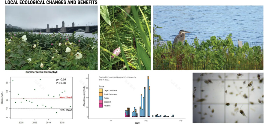 查尔斯河浮动湿地试点项目丨美国波士顿丨Sasaki Associates,Inc.等-38