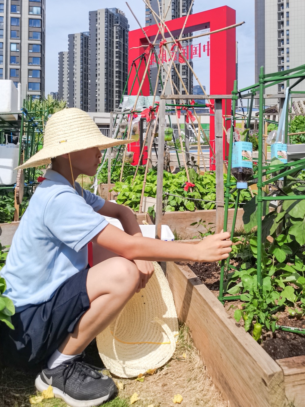 南京志远外语学校天空之园丨中国南京丨南京林业大学风景园林学院团队-32