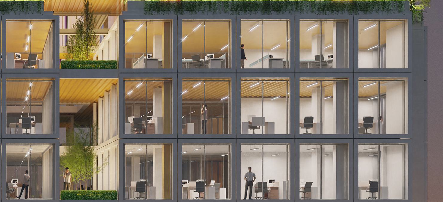 黄色细胞办公室丨Cedrus Studio-9