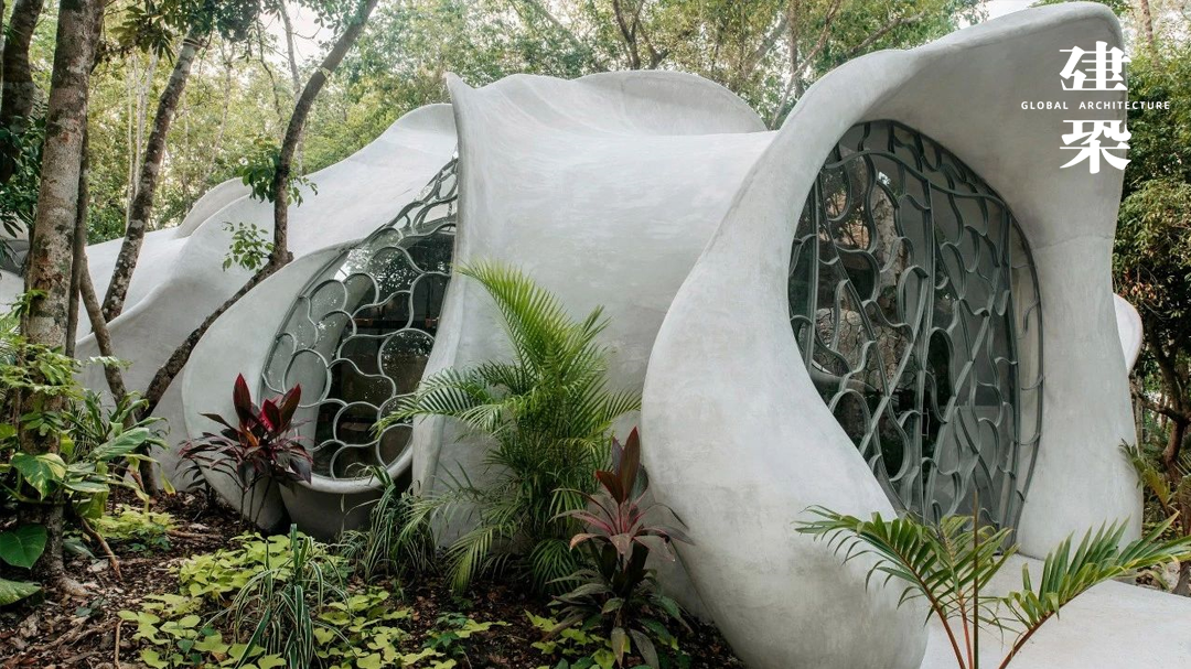 “昆虫翼”办公室 Fab Lab丨墨西哥丨Roth Architecture-0