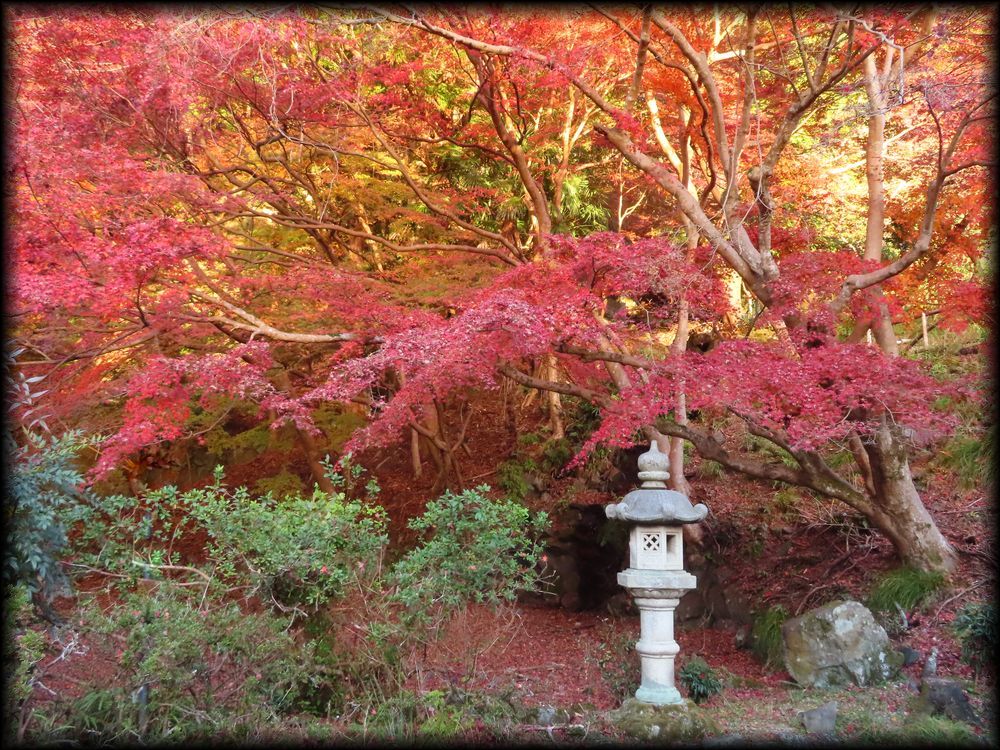 瑠璃光院（旧高级旅馆「喜鶴亭」）丨日本京都-19