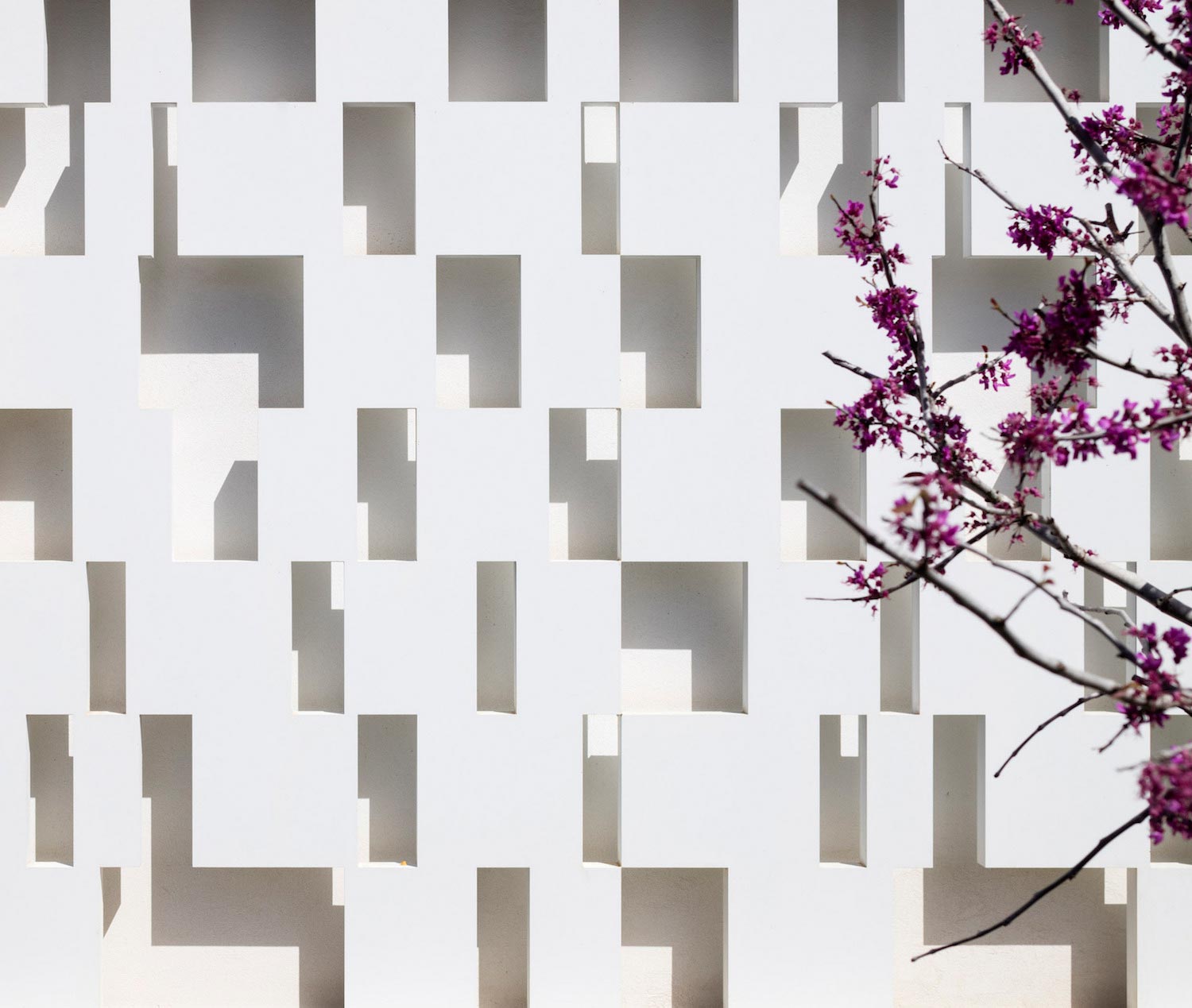 特拉维夫现代乡村之家-15