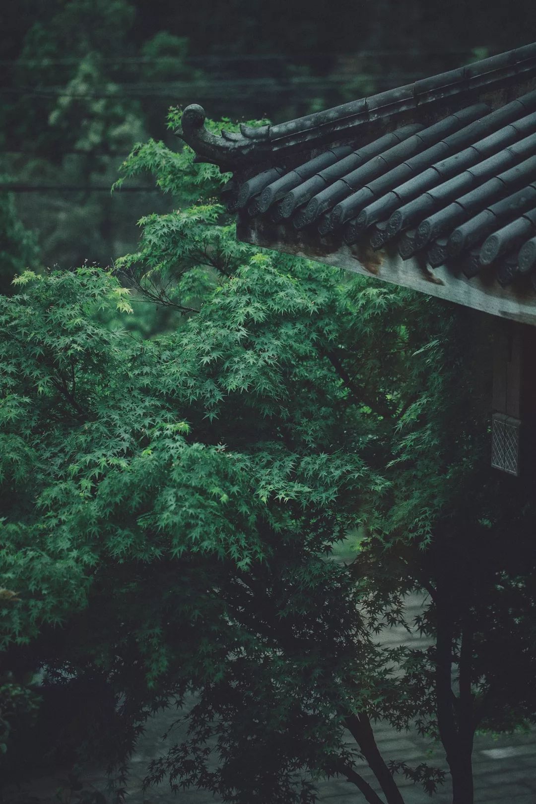 美的沉思 | 陶然于山水草木闲居的设计美学-6