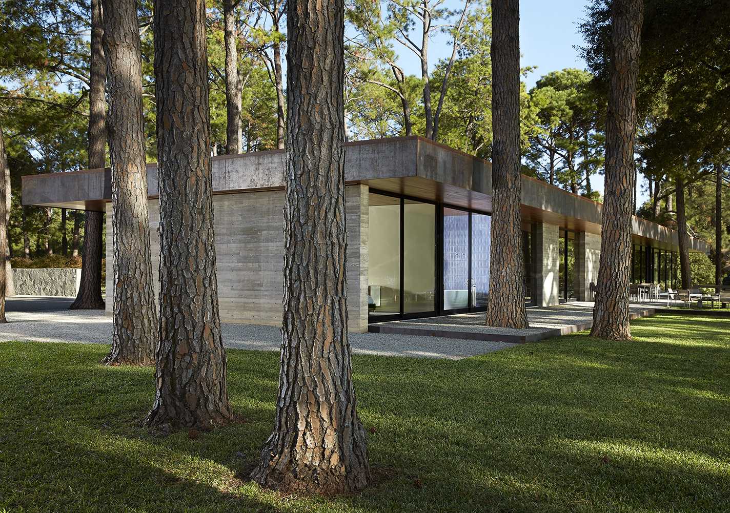 Cedar Creek 住宅设计-5