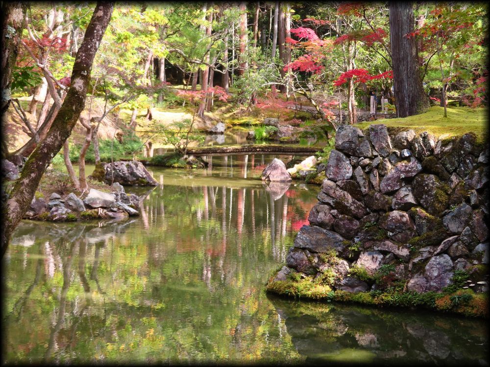 苔寺（西芳寺）的苔庭（黄金池,金刚池）丨日本京都丨梦窗疎石-23