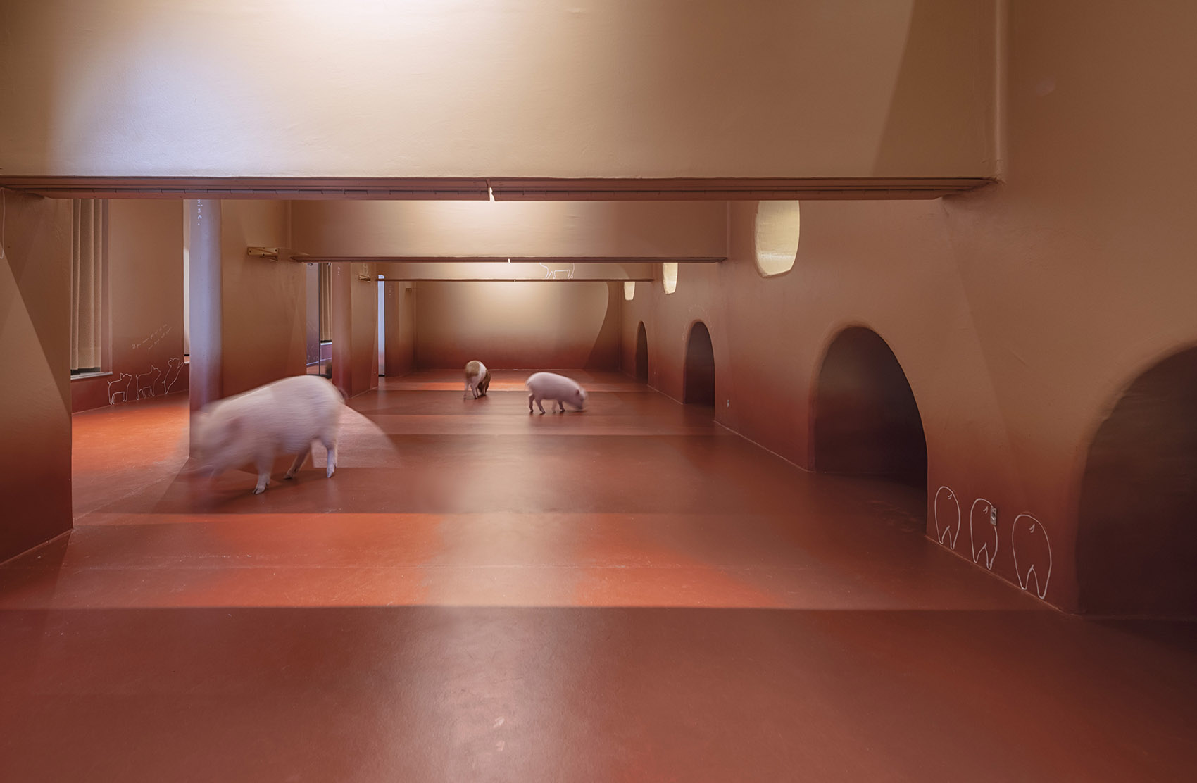 东京 Pignic 咖啡厅丨日本东京丨KAMITOPEN-7