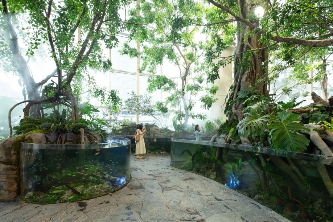 重庆光环花园城·世界树 光环2.0之机械魔法森林丨中国重庆丨WTD纬图设计-21