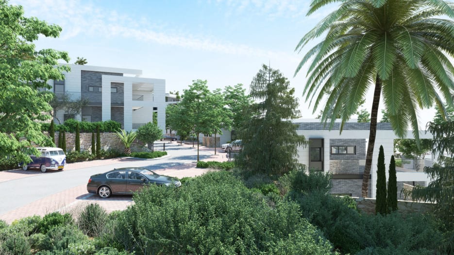 cows - Ando Studio-3