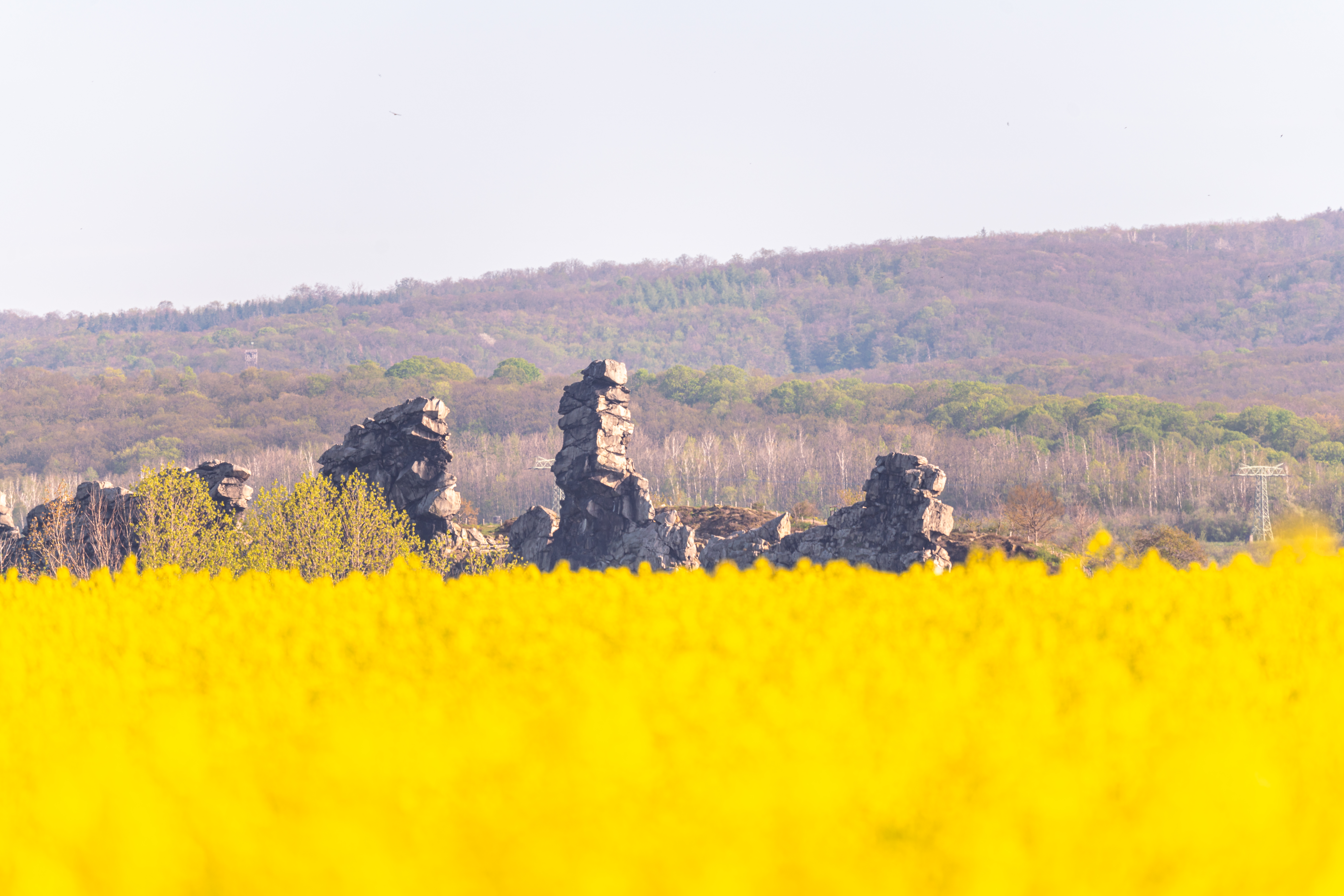 哈茨山樱花春日童话景观体验丨德国-11