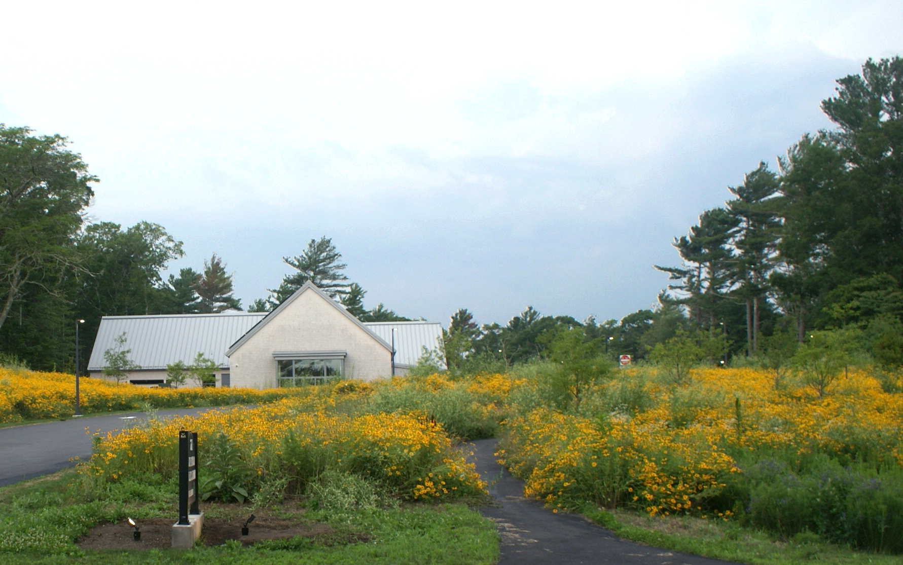 达特茅斯公共图书馆-5