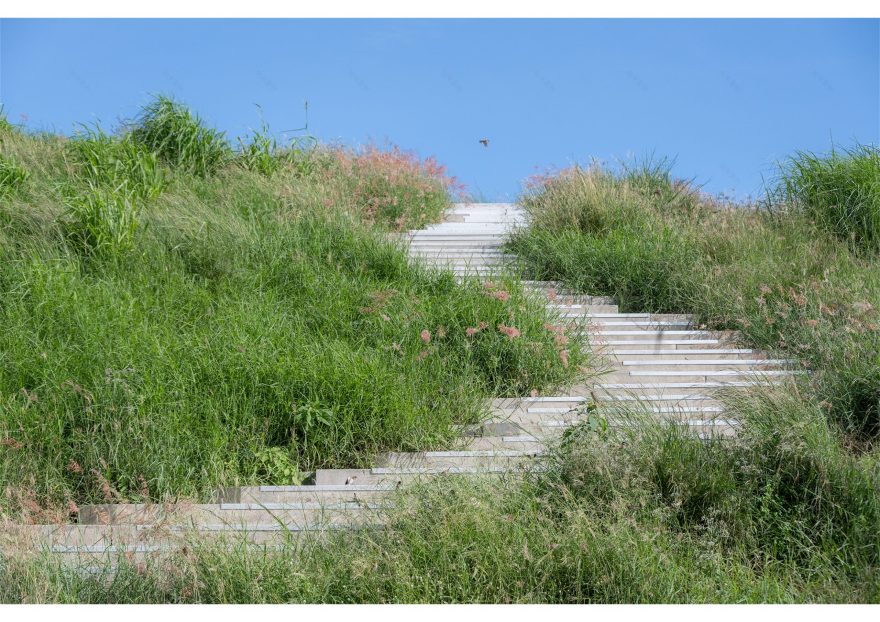 泰国PTT液化天然气接收站景观设计丨泰国罗勇丨TK Studio-44