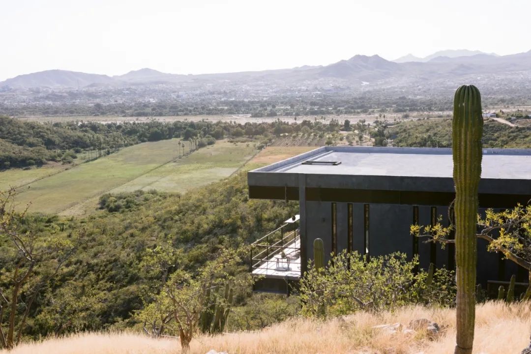 墨西哥沙漠中的现代生活空间-9