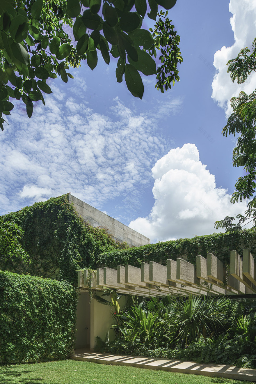 白杨住宅丨墨西哥丨Arkham Projects-21