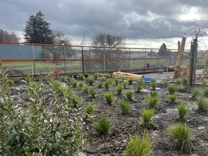 Blue Oak Landing — Fletcher Studio-56