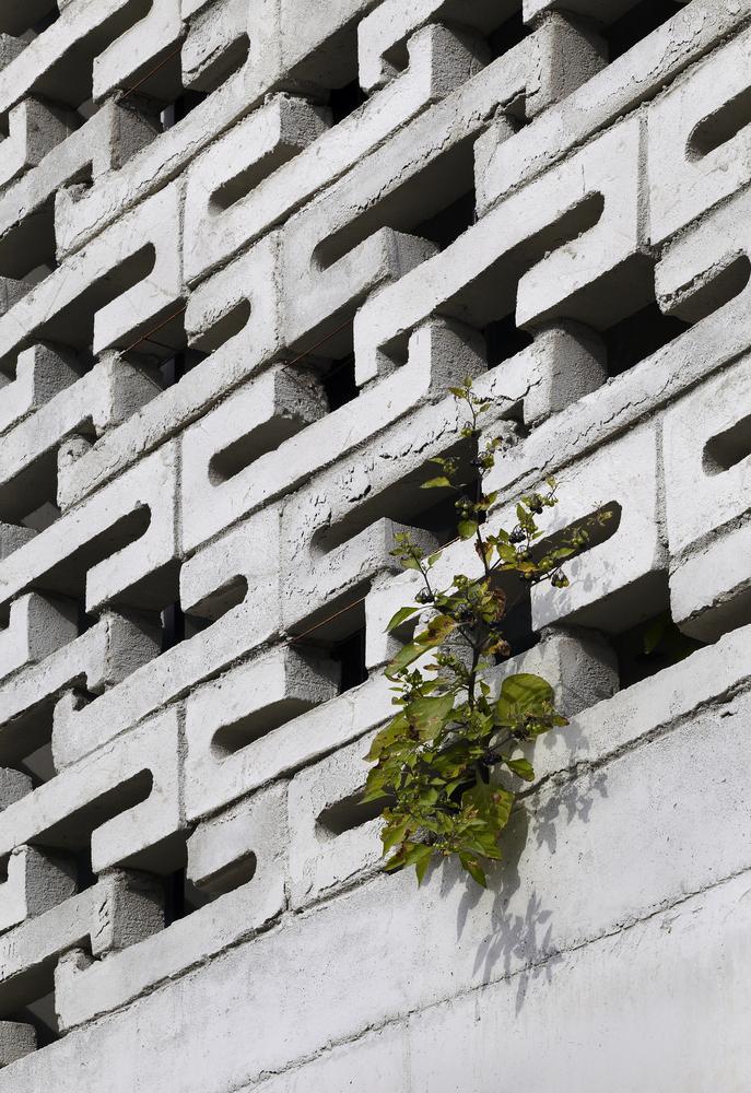 韩国 The Ground Wall 住宅丨FHHH friends +-20