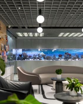 上海Meet·华大科技园办公改造 · 一场自然驱动下的空间共生实践丨中国上海丨予舍予筑