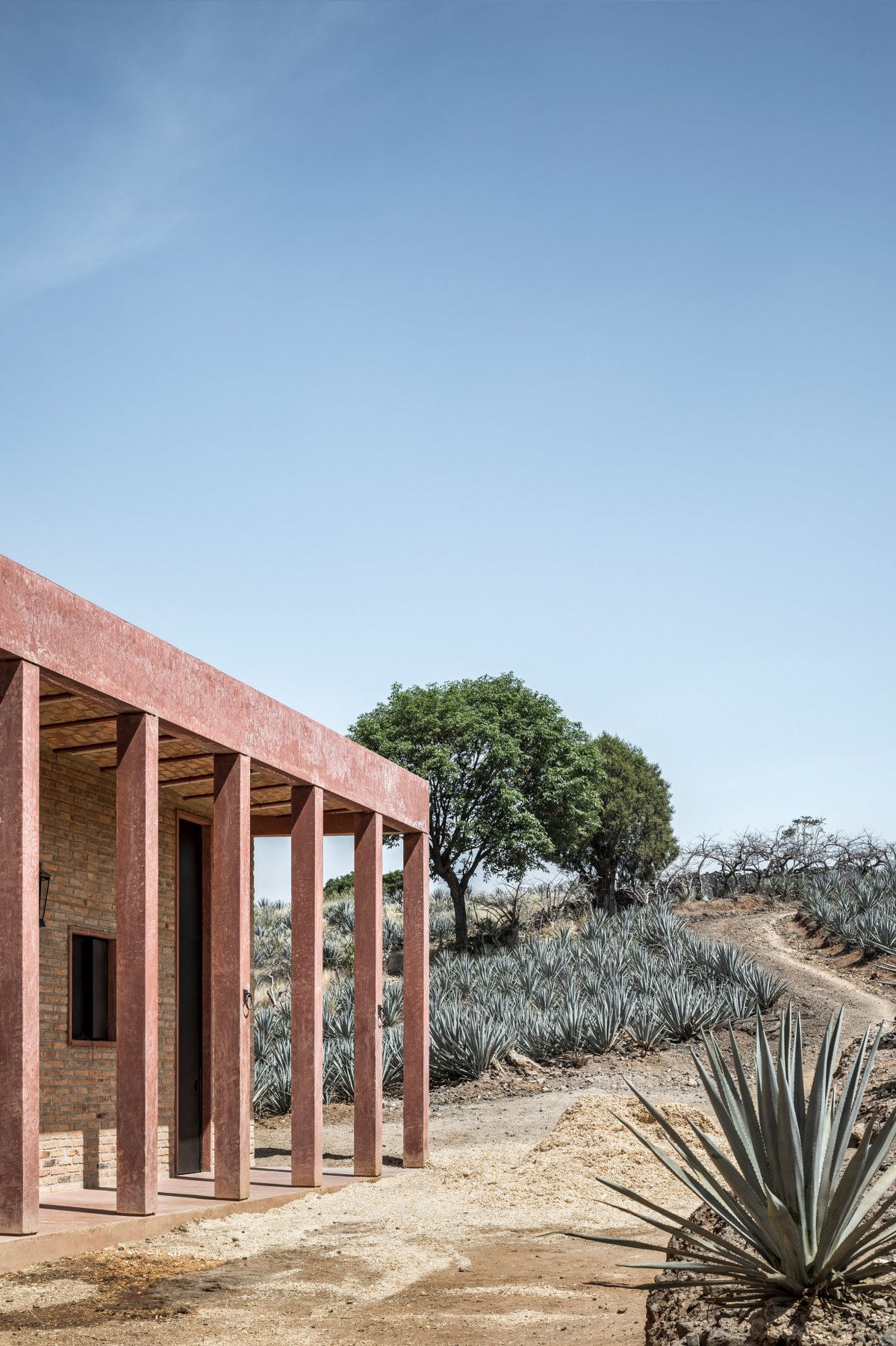 Agavero 牧场丨墨西哥丨1540 Arquitectura-6