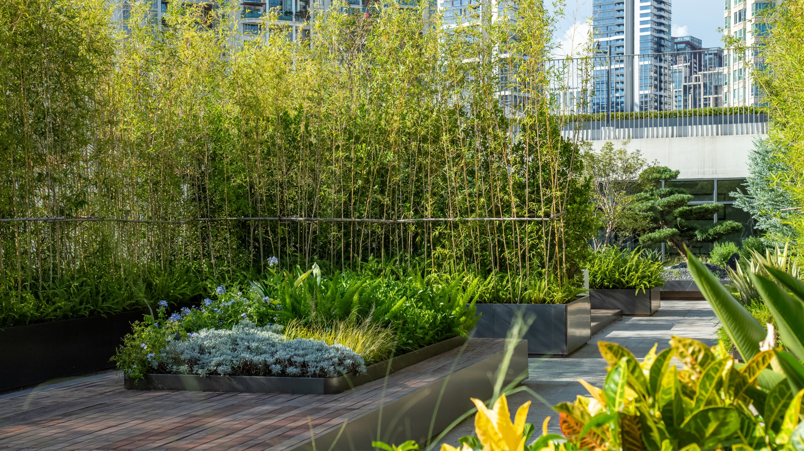 深圳市宝安中学(集团)海天学校丨中国深圳丨HILL 希尔景观-122