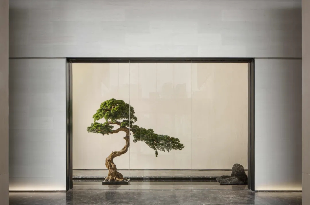 奥园 龙川玖著 | 矩阵纵横-9