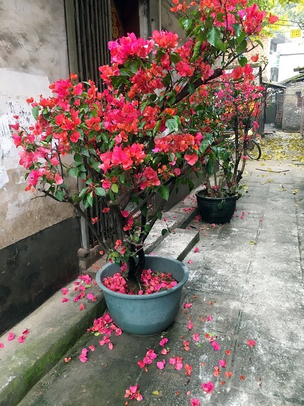 花最少的钱提升出租屋的逼格-45