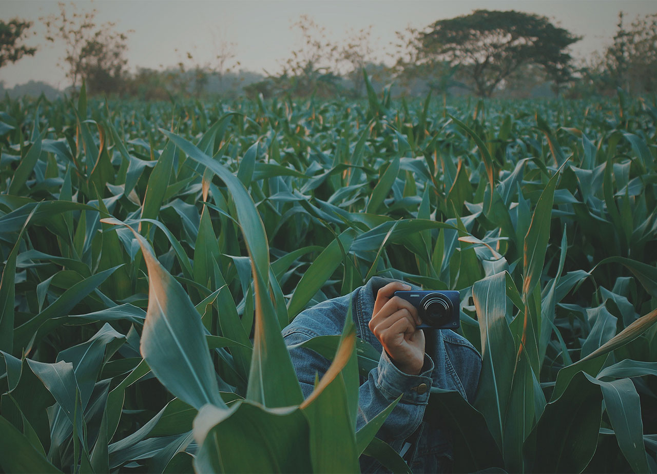 无头摄影秀 | 颠覆审美的“失去头脑”项目-4