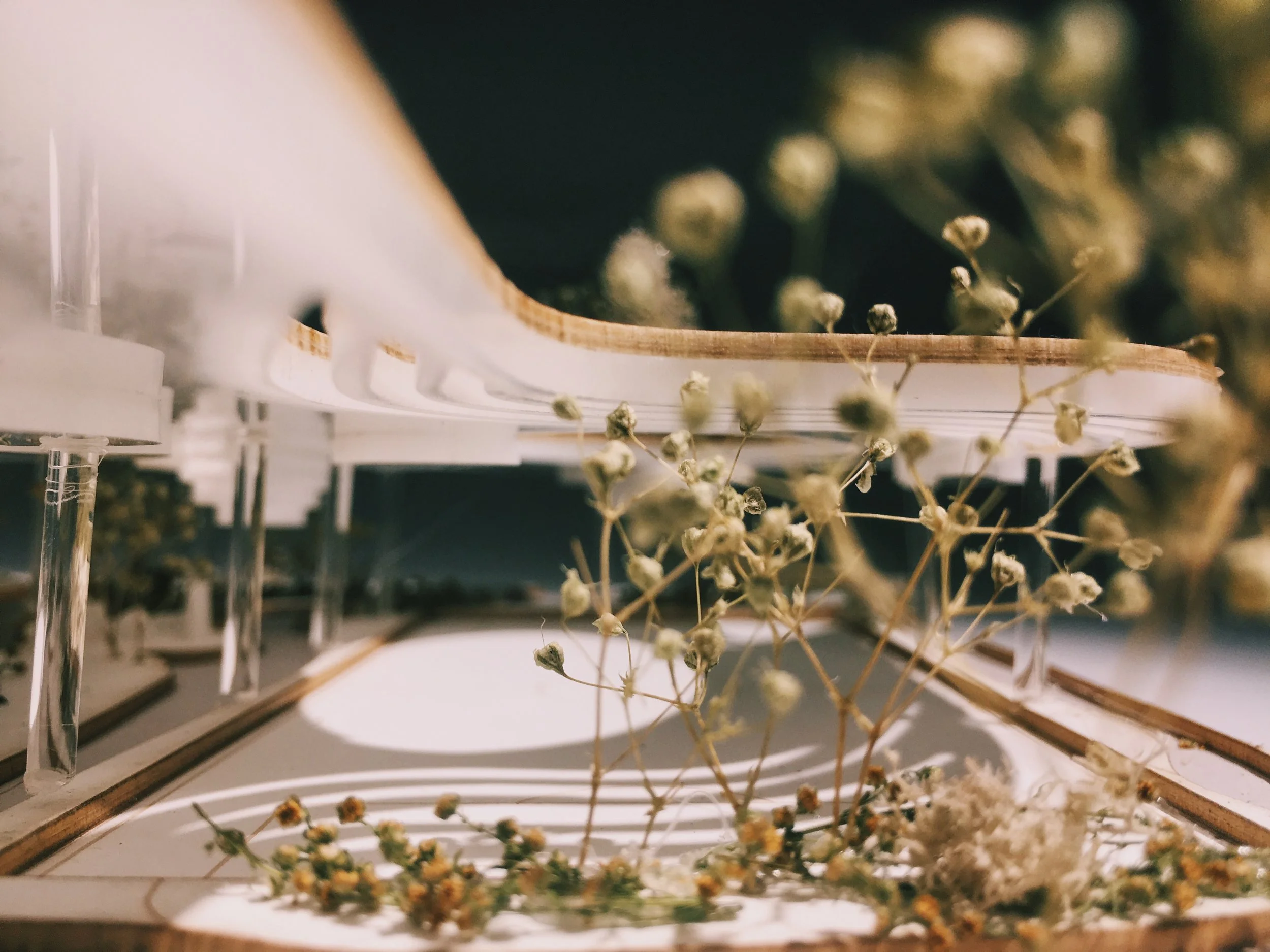 城市树木农场 + 公园丨美国曼哈顿-27