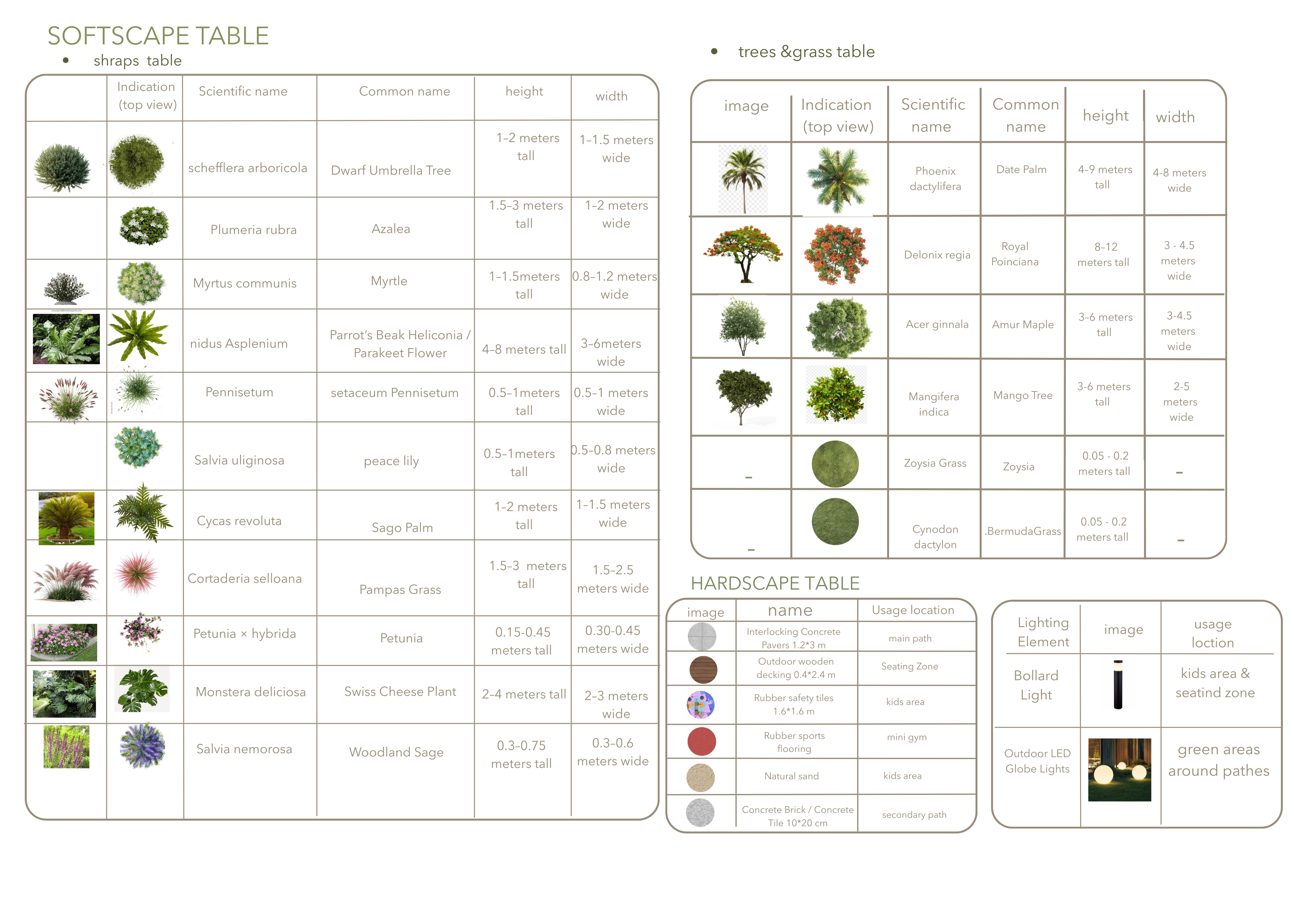 Serene Public Garden | Landscape design-5